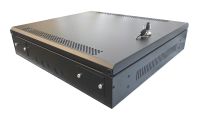 1U 19" Adjustable Low Profile Vertical Mount - Wall Mount Network / Server Cabinet 500mm Deep